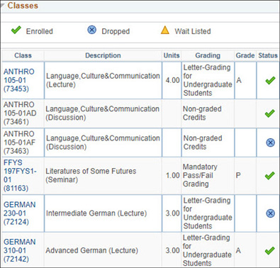 Term Summary image