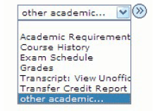 other academic dropdown menu for Advisors