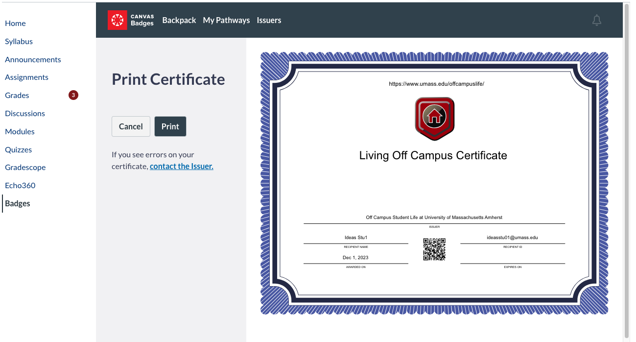 students' view of the printed badge version