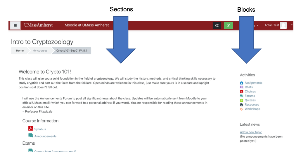 Sections and blocks annotated screenshot indicating blocks to the right and sections in center of page