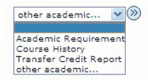 other academic dropdown menu