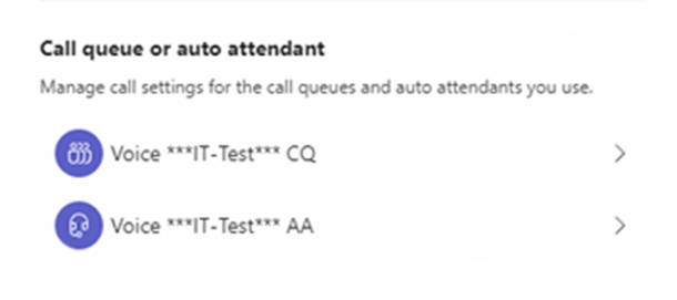 call queue and auto attendand names