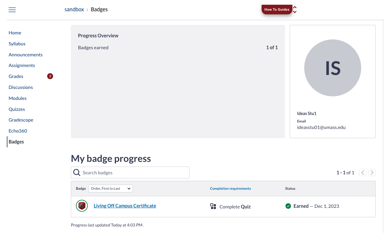 Students' view of Badge right after they meet the criteria