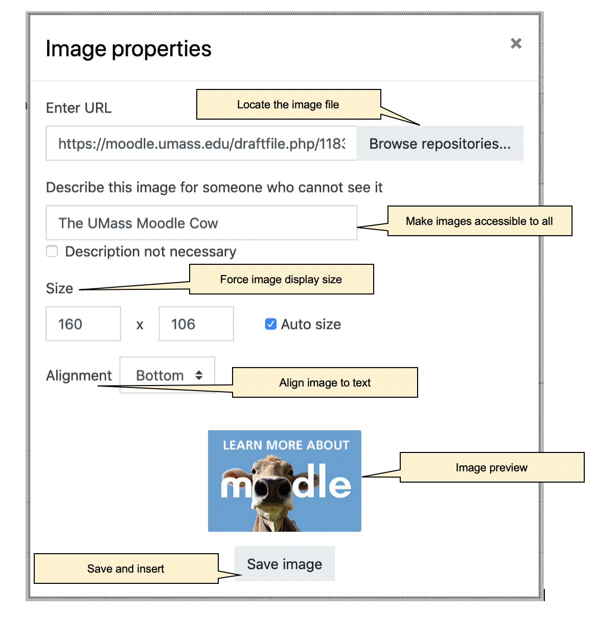 Image properties dialog box