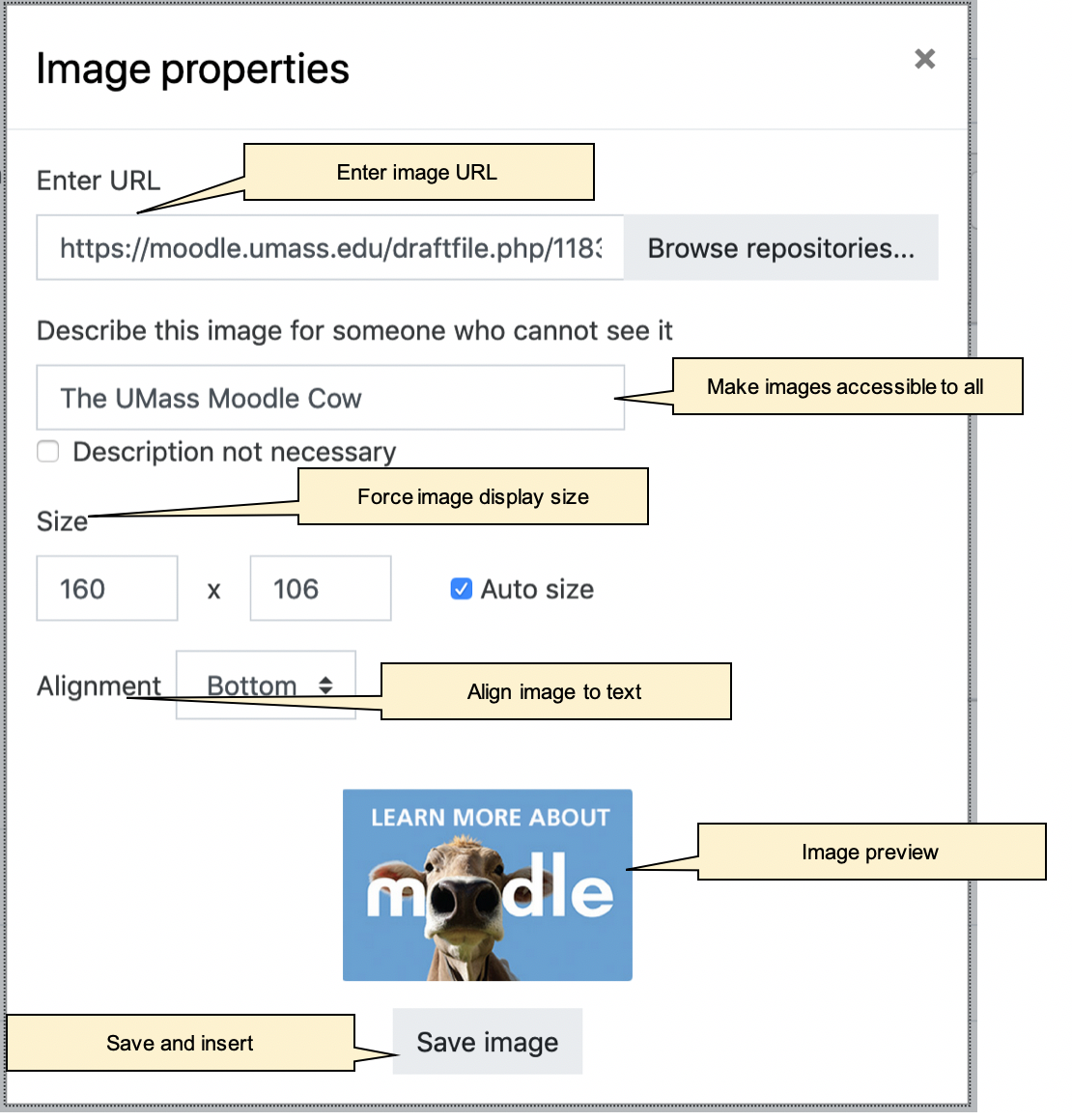 Image properties when inserting URL