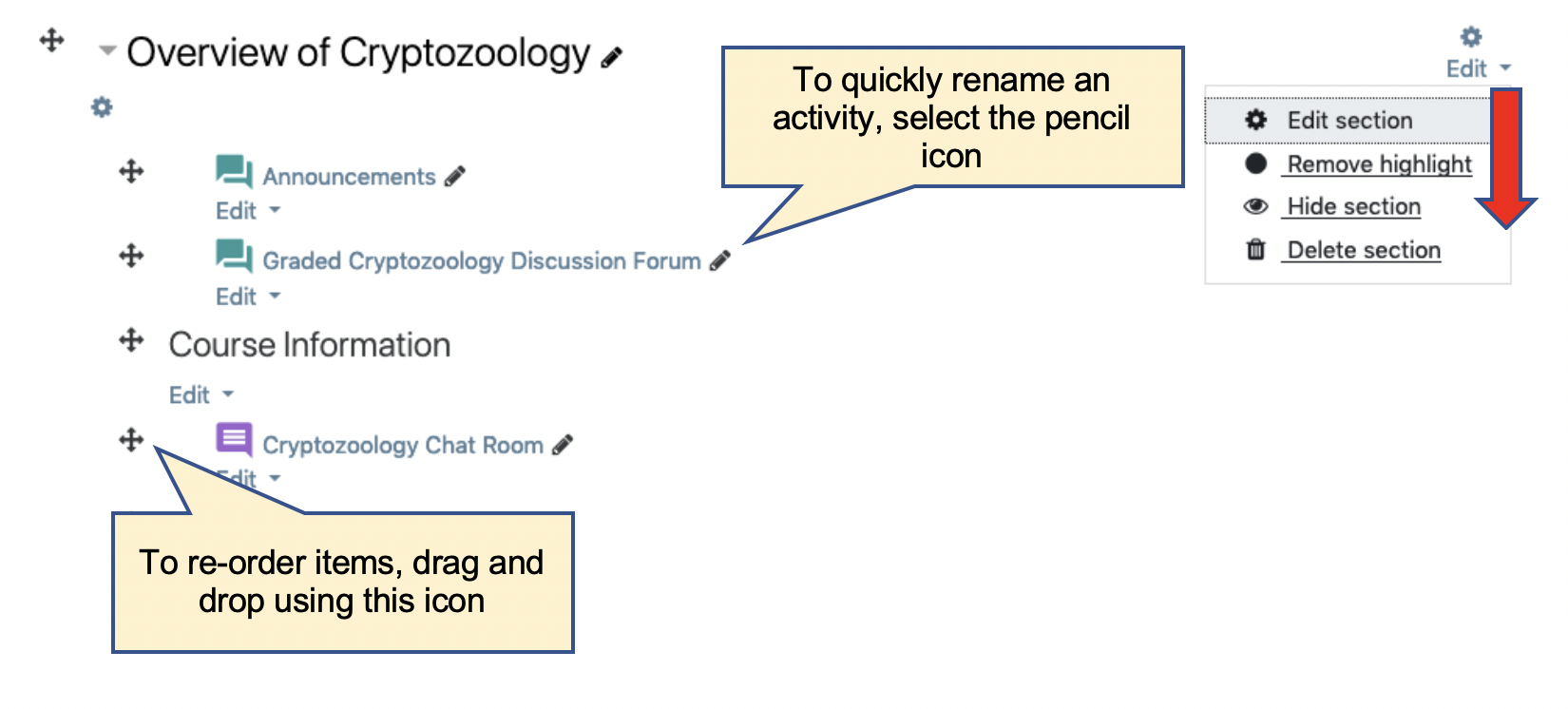 Turn editing on Screenshot with annotations describing that you can drag and move items by selecting the cross icon and that Activity names can be changed by clicking the pencil icon